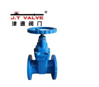 Reliable Gate Valve for Efficient Pipeline Management Solutions