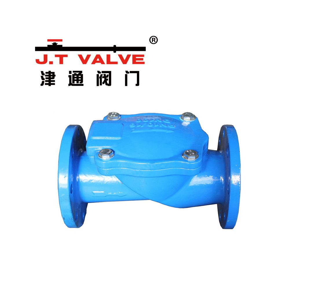 Durable Stainless Steel Check Valve for Efficient Backflow Prevention