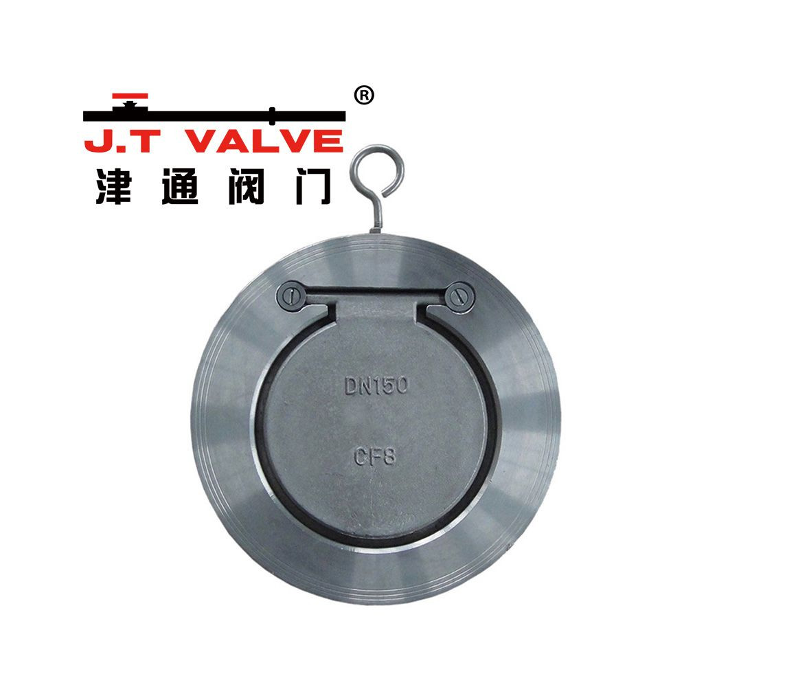 Durable Stainless Steel Check Valve for Efficient Backflow Prevention