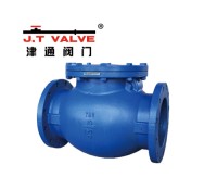 Durable Brass Check Valve for Reliable Fluid Control Systems