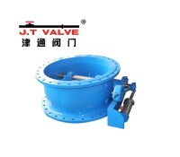 Versatile Brass Check Valves for Efficient Liquid Flow Management