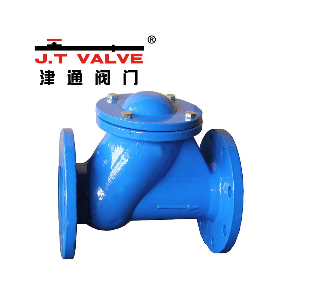 Durable Stainless Steel Check Valve for Efficient Backflow Prevention